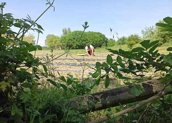 Gospodarstwo agroturystyczne Agrilocanda Val Campotto Argenta